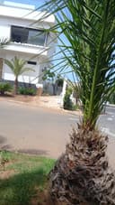 Résidence Anfa Bay